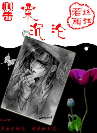 罂粟沉沦