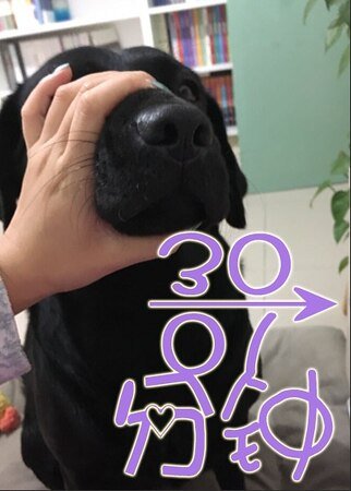 30→01分鐘