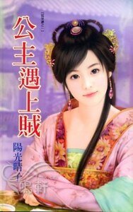 公主遇上贼(贼保镖之一)