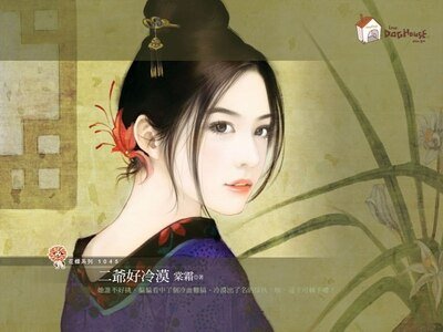 二爷好冷漠+浪子真花心+神医太龟毛(小婢点君系列)