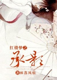 (红楼梦同人)红楼梦之承影