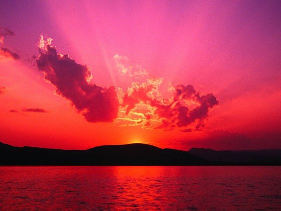 情陷夜光