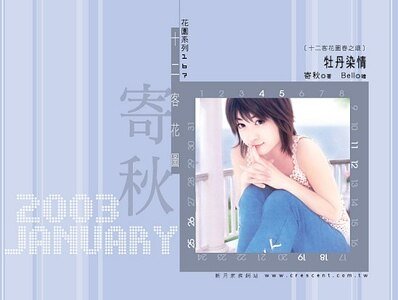 牡丹染情(十二客花图春之颂之一)