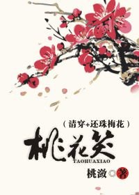 桃花笑(清穿+還珠梅花)