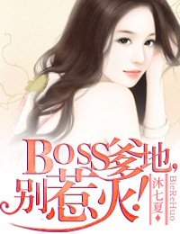 BOSS爹地,别惹火