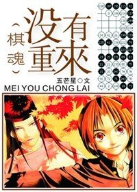 (BL/棋魂同人)没有重来