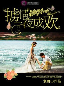 擄情,—夜成歡