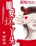 圈爱坏丫头