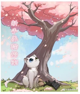 新手養貓指南