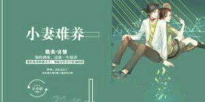 小妻难养