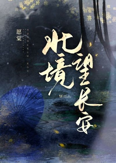北境望长安