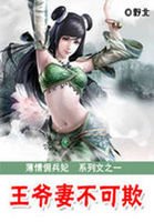 薄情佣兵妃:王爷妻不可欺