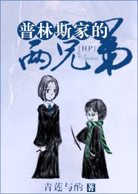 (哈利波特同人)HP普林斯家两兄弟