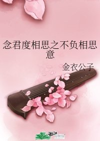 念君度相思之不負相思意