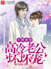 军婚蜜爱:高冷老公,坏坏宠