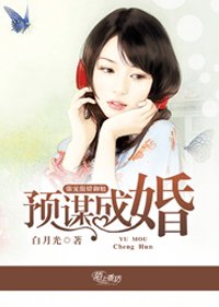預謀成婚,強寵傲嬌御姐