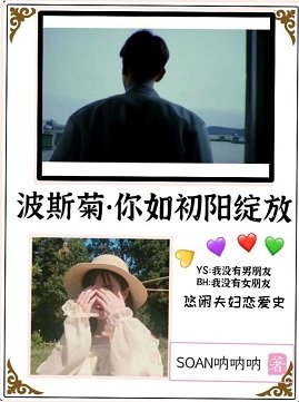 (边伯贤同人)波斯菊/你如初阳绽放