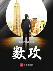 数工