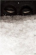 见雪深(洒家)