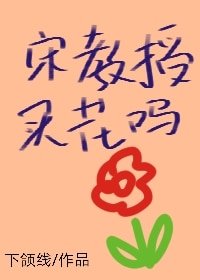宋窖授,买花吗