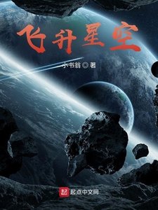 飛昇星空