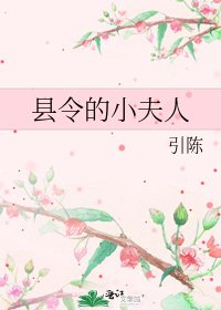 縣令的小夫人