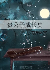 貴公子成厂史
