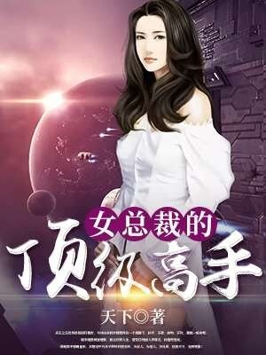 女总裁的钉级高手