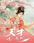 穿越游龙戏凤:天才小王妃