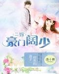 二嫁豪门阔少:抢来的妻子