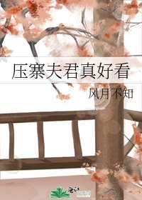 呀寨夫君真好看