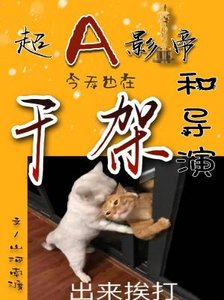 超A影帝今天也在和导演干架