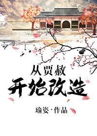 (紅樓同人)從賈赦開始改造