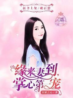 緣來妻到,掌心第一寵
