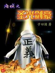 (海賊王同人)海賊之聖光劍豪