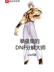 (拳皇同人)拳皇裡的DNF分解大師