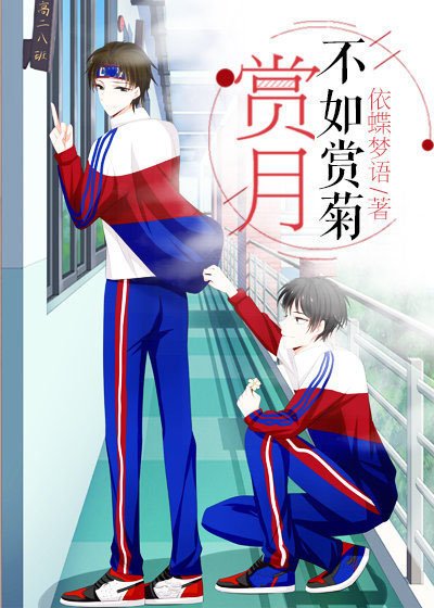 赏月不如赏菊