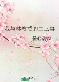 我与林教授的二三事