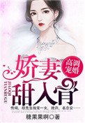 第一暖婚:穆先生,愛妻成癮