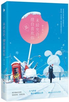 未经允许,擅自喜欢你