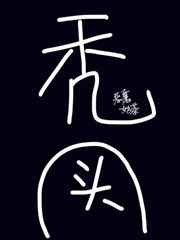 (BL/综同人)我的头发遍布异世界