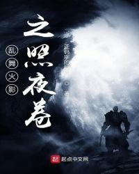 亂舞火影之照夜卷