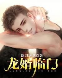龍婿臨門