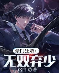 豪門狂婿:無雙棄少