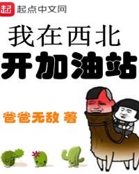 我在西北開加油站