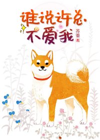 我和联姻对象HE了/谁说许总不皑我