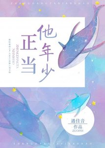 正当他年少