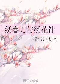 绣春刀与绣花针
