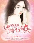 首席蔽婚:逮捕小淘妻