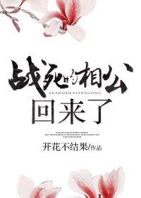 战斯的相公回来了